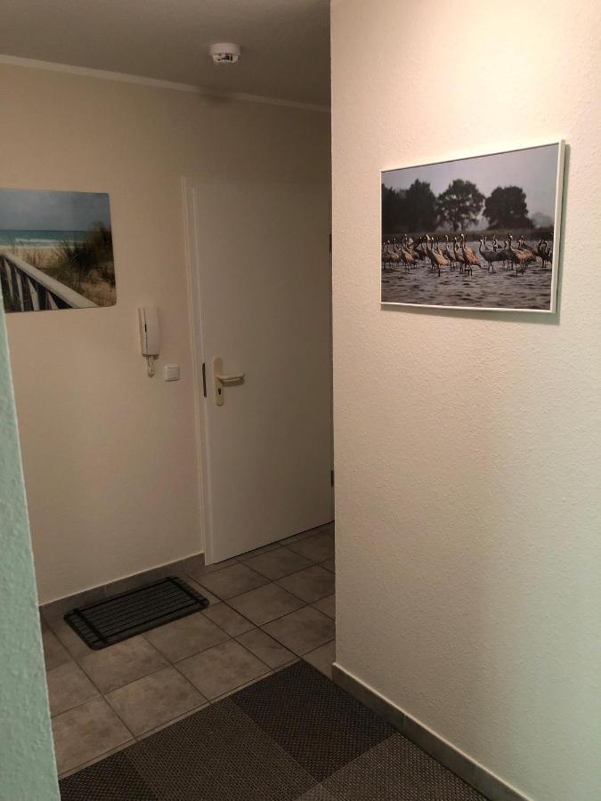 זינקסט Darsser Weg 38A מראה חיצוני תמונה